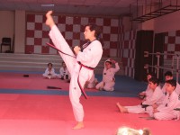 Taekwondo